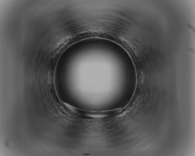 X0000091451110200708231249