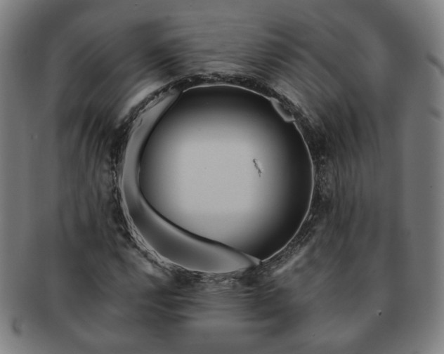 X0000091451112200708231249