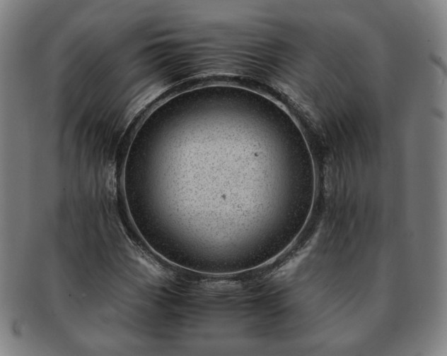X0000091451113200708231249