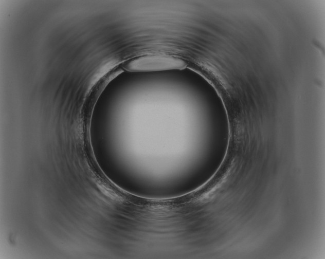 X0000091451114200708231249