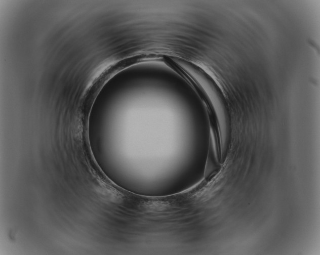 X0000091451115200708231249