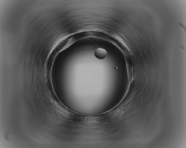 X0000091451116200708231249