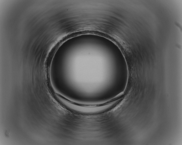 X0000091451118200708231249