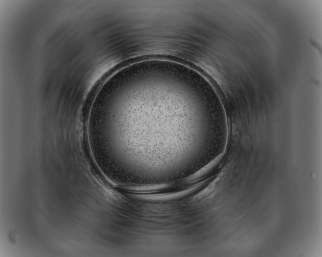 X0000091451119200708231249