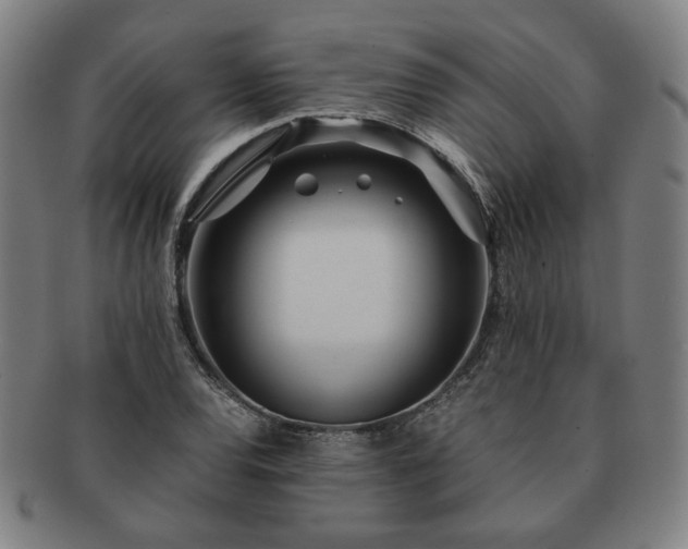 X0000091451120200708231249