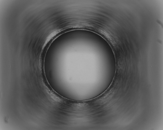 X0000091451122200708231249