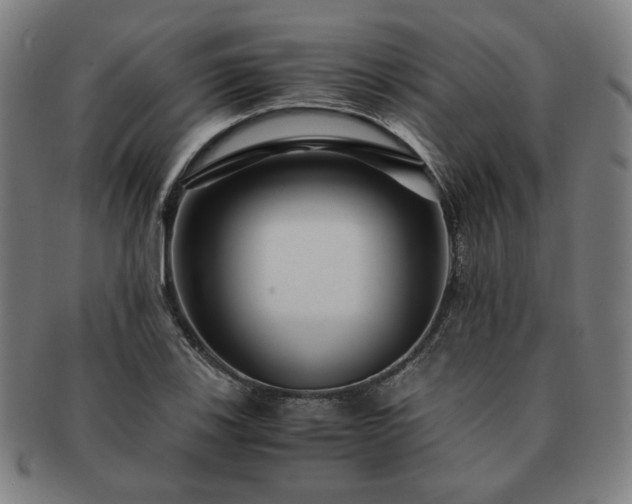 X0000091451123200708231249