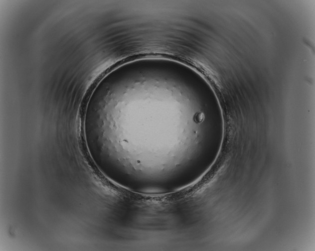 X0000091451125200708231249