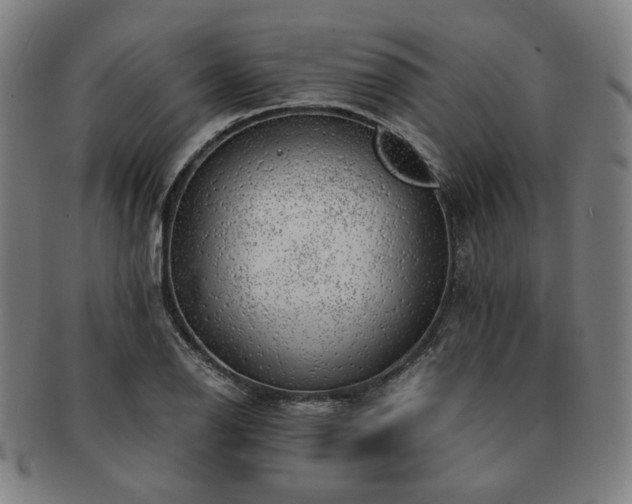 X0000091451126200708231249