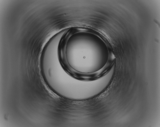 X0000091451128200708231249