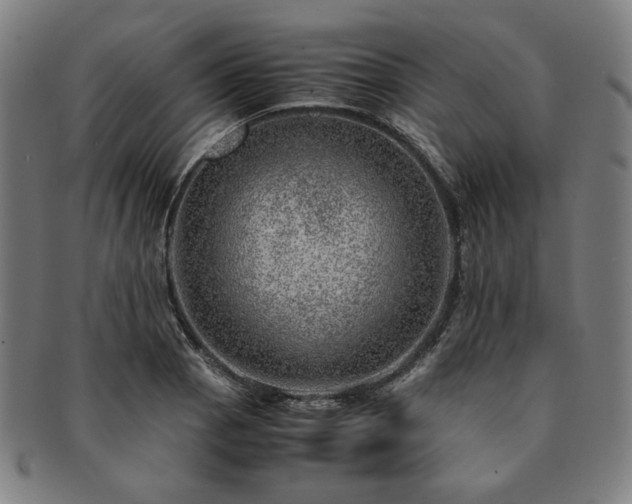 X0000091451129200708231249