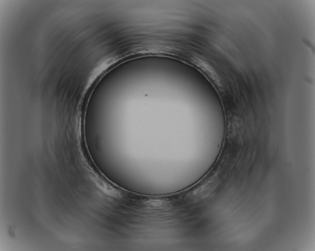 X0000091451130200708231249