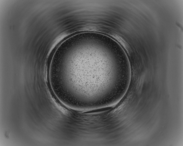 X0000091451131200708231249