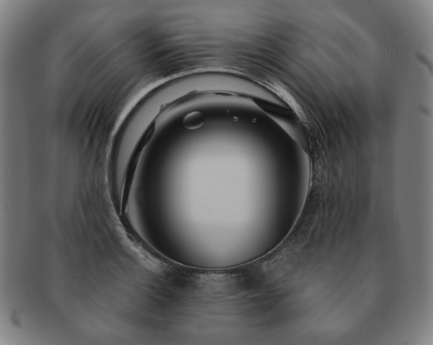 X0000091451132200708231249