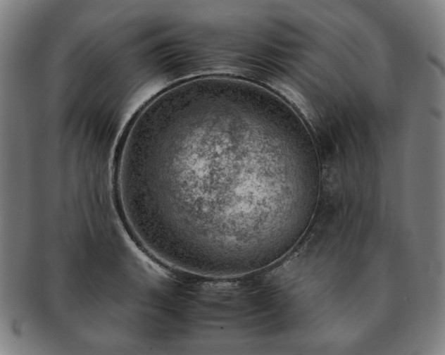 X0000091451135200708231249