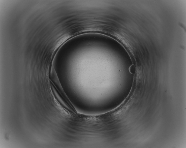 X0000091451137200708231249
