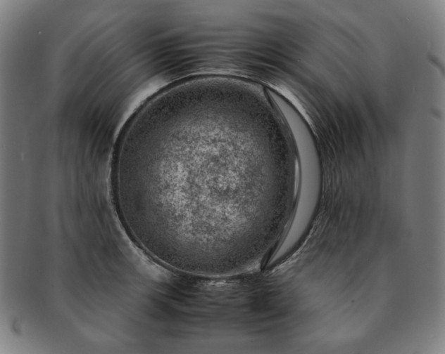 X0000091451139200708231249