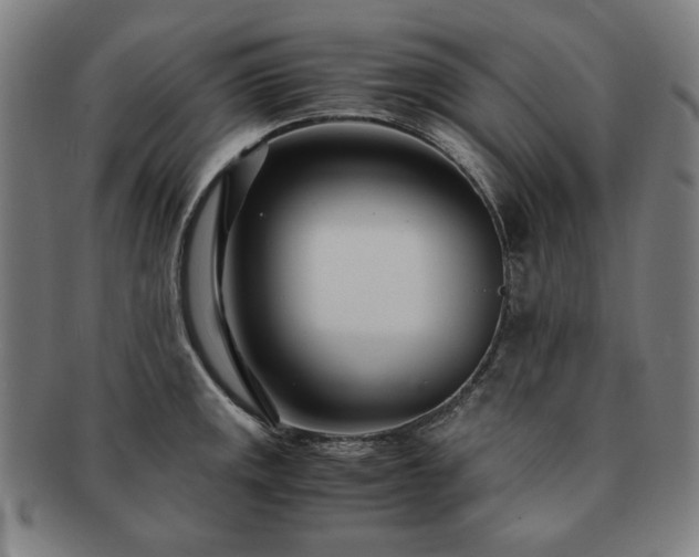 X0000091451141200708231249