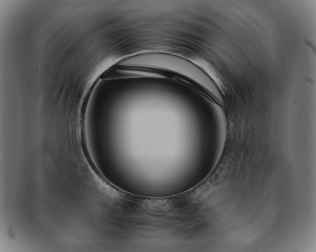X0000091451143200708231249