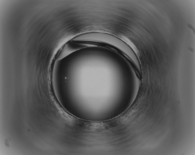 X0000091451144200708231249