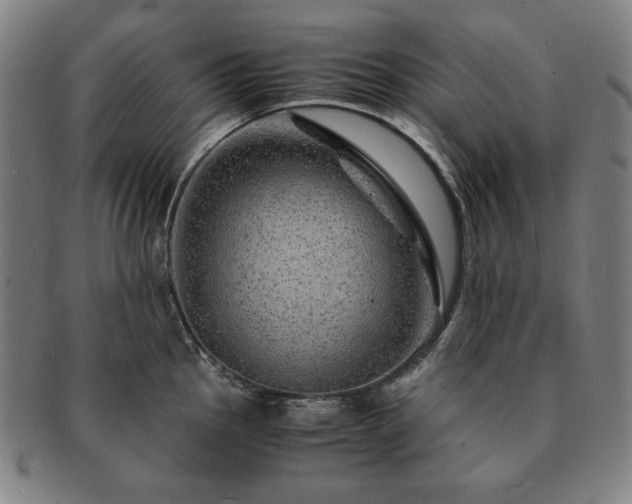 X0000091451145200708231249