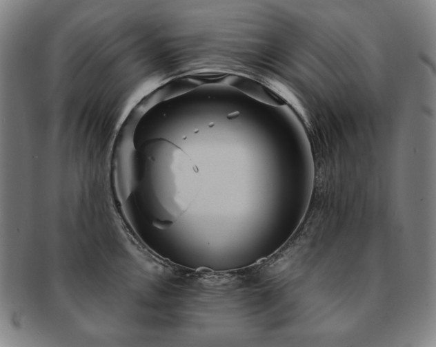 X0000091451146200708231249