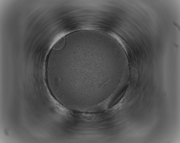 X0000091451147200708231249