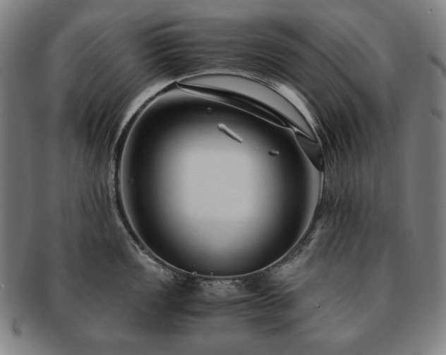 X0000091451149200708231249
