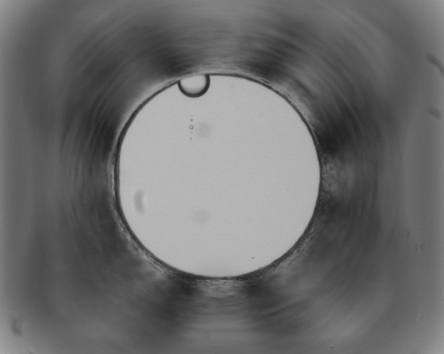 X0000091451150200708231249