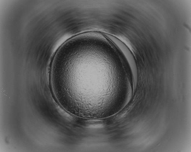 X0000091451151200708231250
