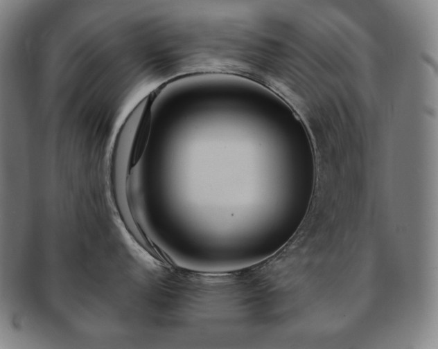 X0000091451152200708231250