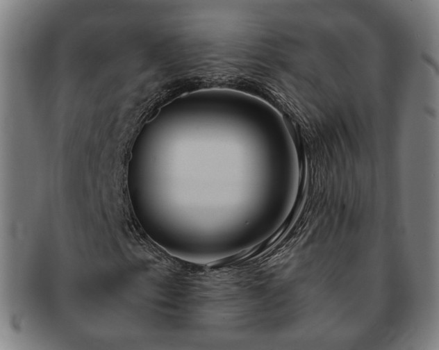 X0000091451153200708231249