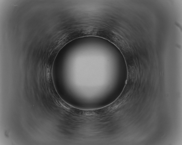 X0000091451154200708231249