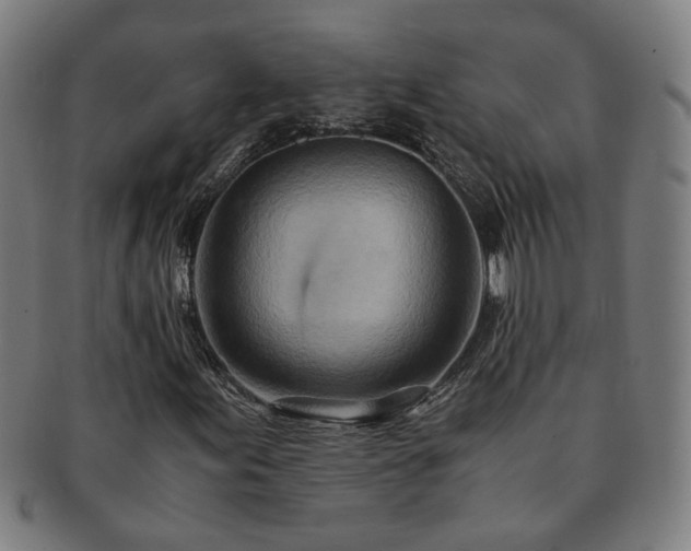 X0000091451155200708231249