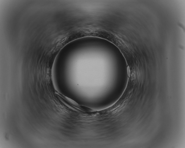 X0000091451156200708231249