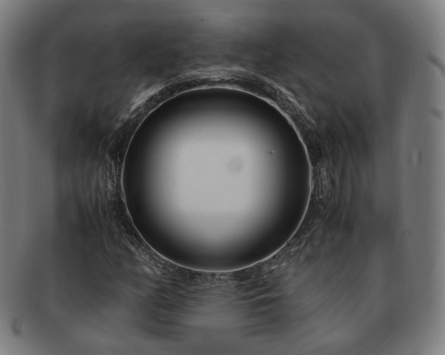X0000091451158200708231249