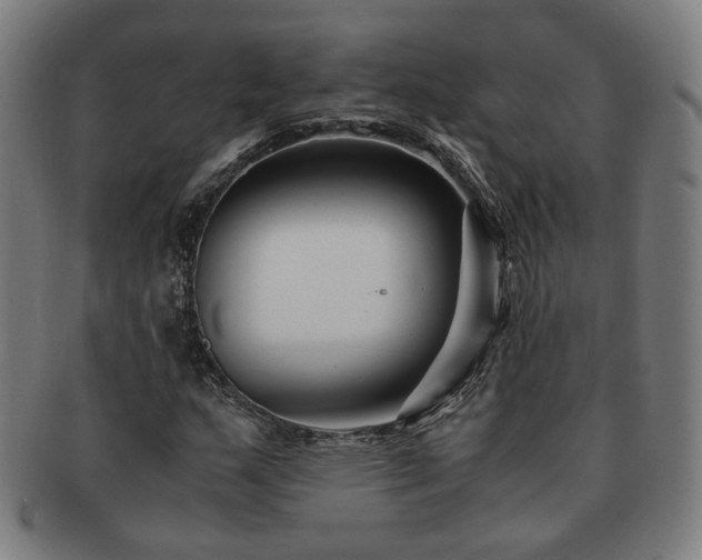X0000091451159200708231249