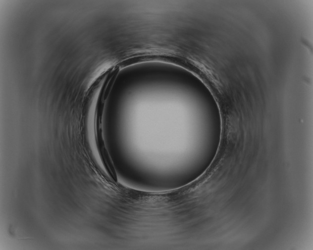 X0000091451163200708231249