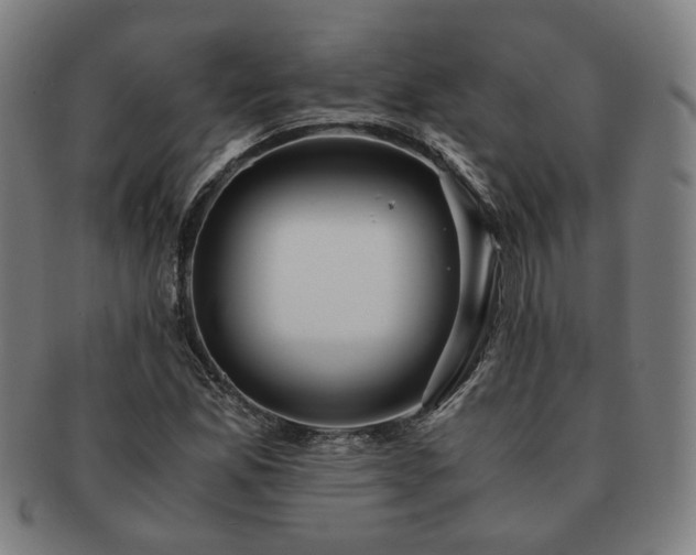 X0000091451165200708231249