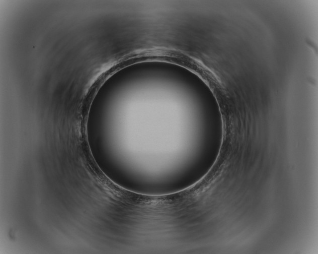 X0000091451166200708231249