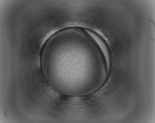 X0000091451167200708231249