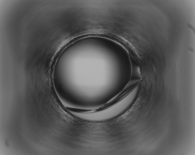 X0000091451168200708231248
