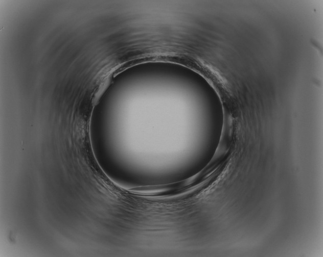 X0000091451169200708231248