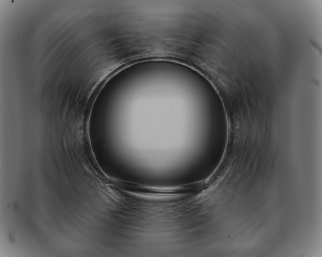 X0000091451170200708231248