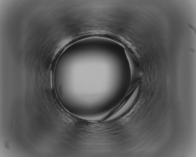 X0000091451171200708231248