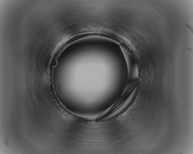 X0000091451172200708231248