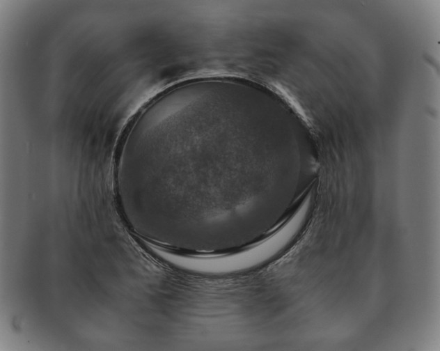 X0000091451173200708231248