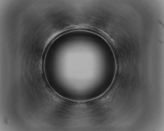 X0000091451174200708231248