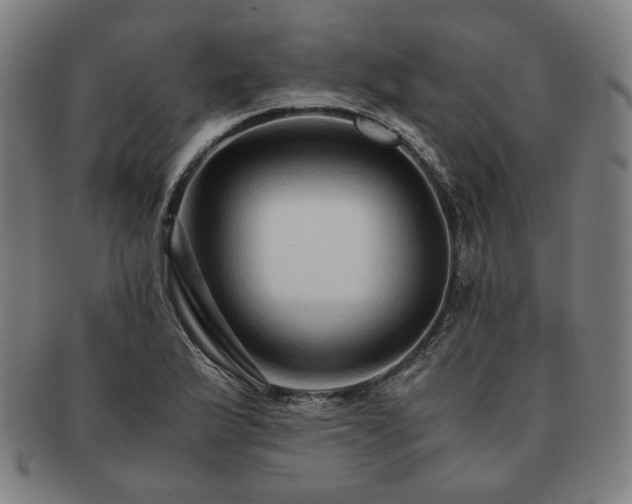 X0000091451175200708231248