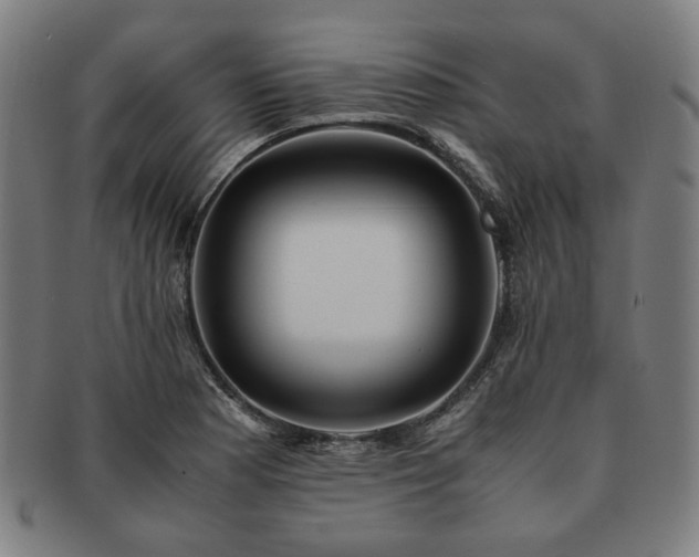 X0000091451177200708231248